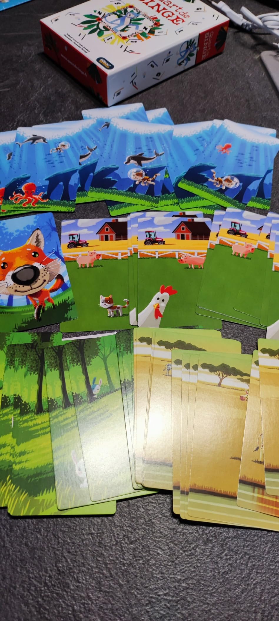 Cartes nettes