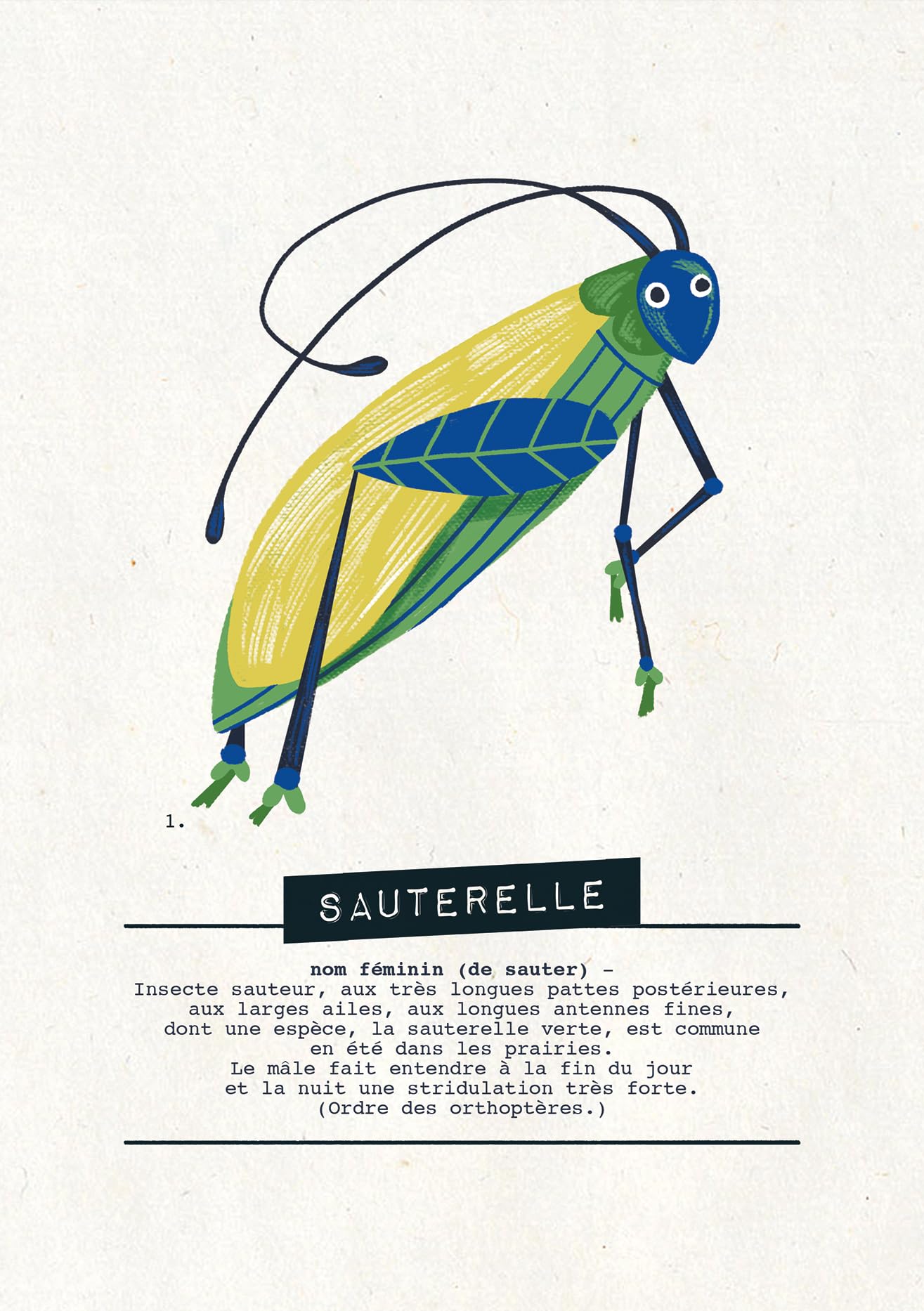 en-cavale-nature-et-insectes-jeu-enqu-te-enfant-7-ans-et image 6