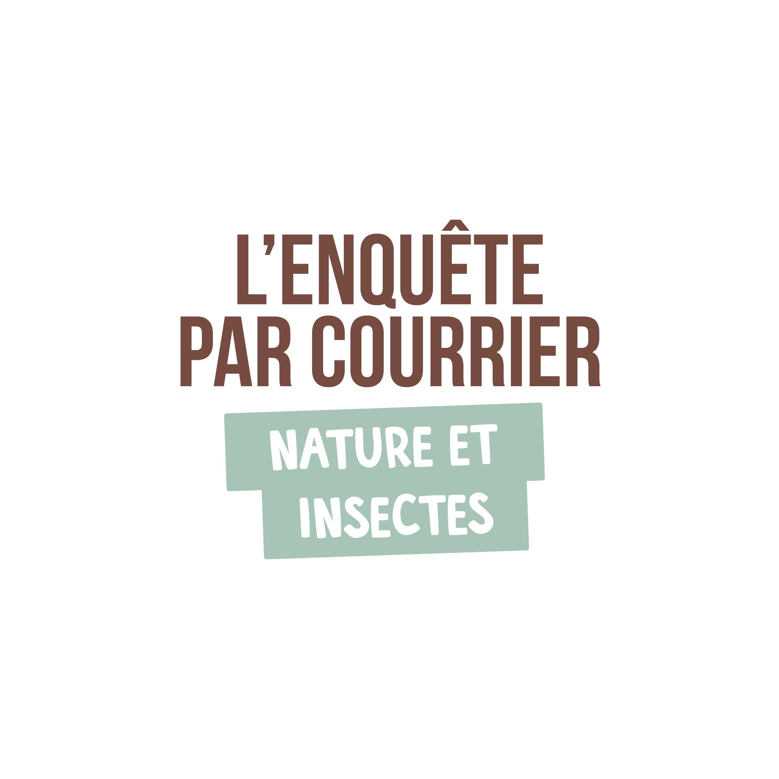 en-cavale-nature-et-insectes-jeu-enqu-te-enfant-7-ans-et image 4