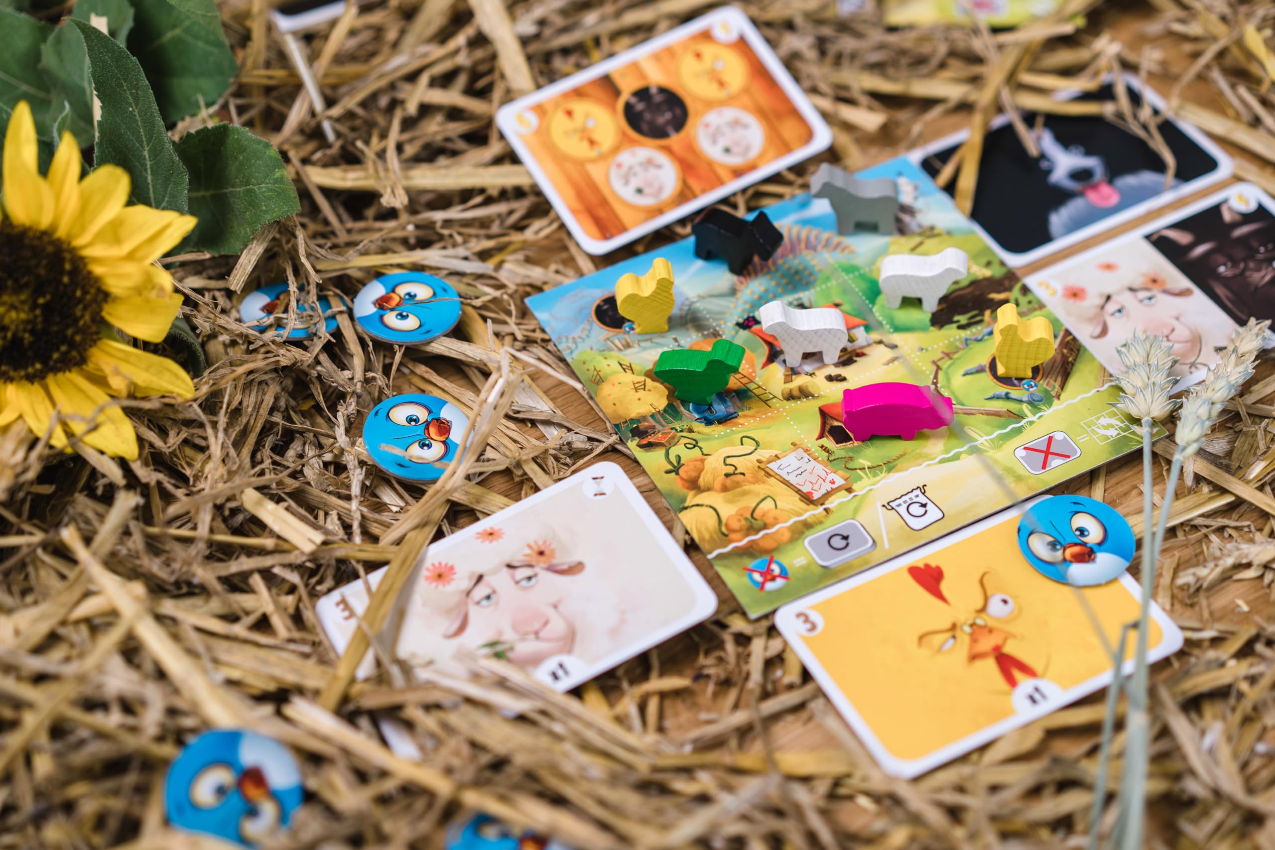 black-rock-enfants-farm-club-jeu-de-placement-ferme-2-5-joueurs image 4